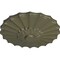 Ekena Millwork Shakuras Ceiling Medallion (Fits Canopies up to 1 3/8"), Hand-Painted Painted Turtle, 9"OD x 1 3/8"P CM09SHPTF - alternate 3